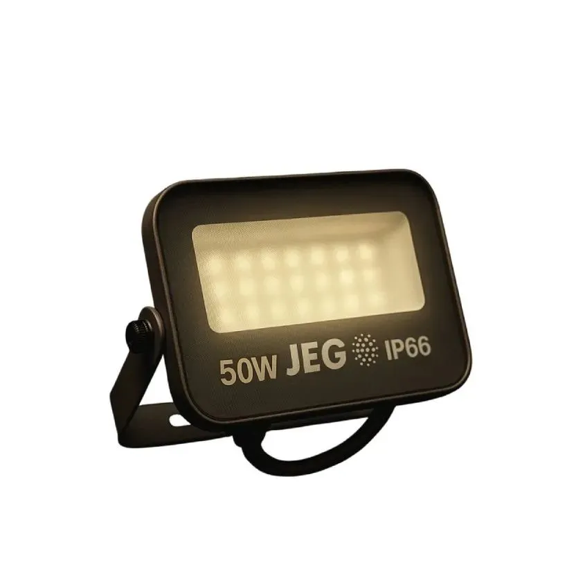 Reflector / Proyector LED 50W FRIO delgado