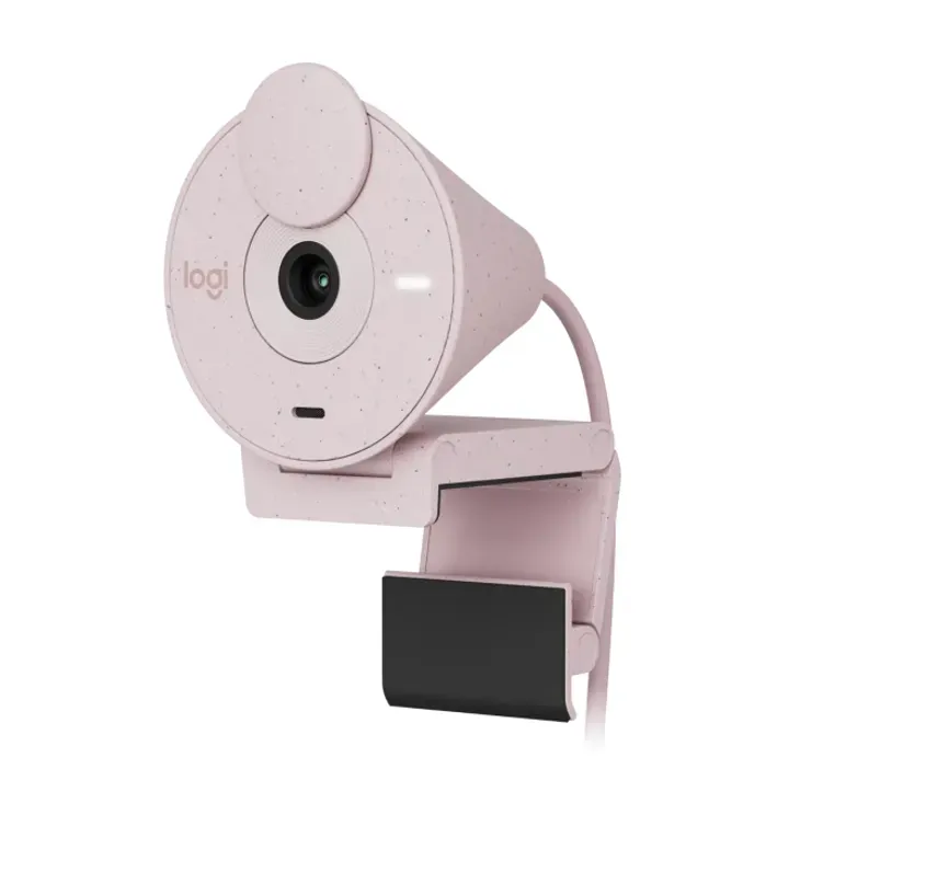 Web Cam Logitech Brio 300 Rose Full HD 960-001446