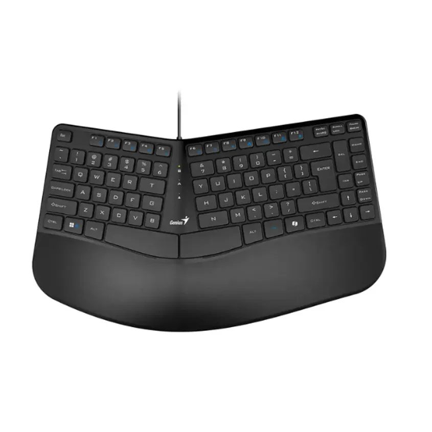 Teclado Genius Ergo KB-700,BLK,SP,USB